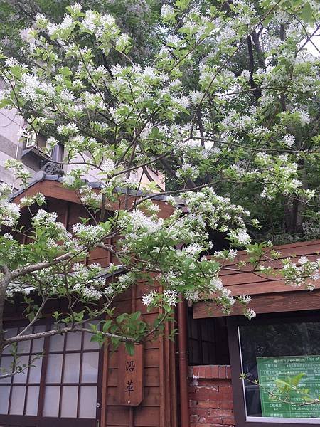 20160403_2017.jpg