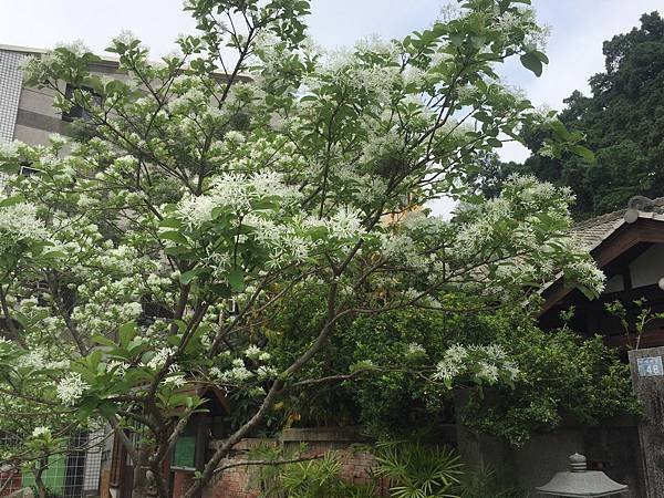 20160403_8126.jpg