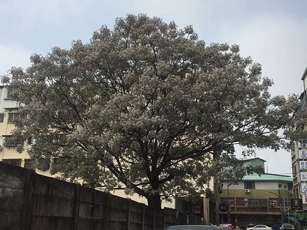 20160403_8222.jpg