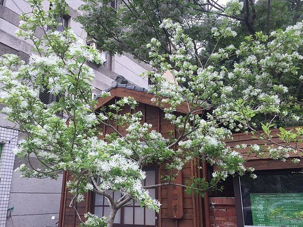 20160403_9510.jpg
