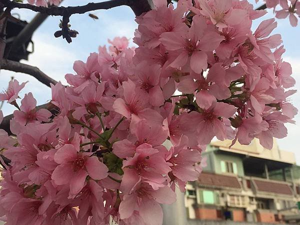 20160405_1557.jpg