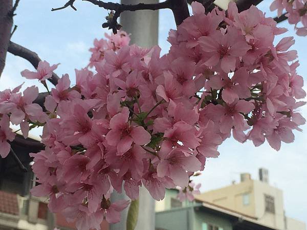20160405_5929.jpg