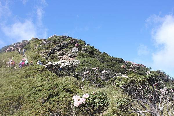 IMG_7382.JPG