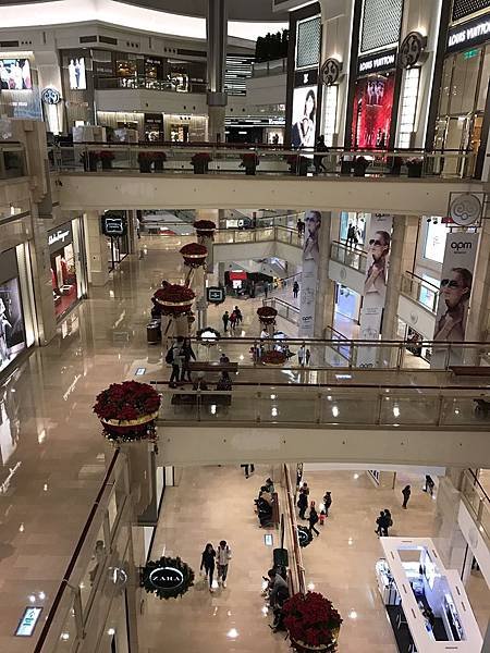 20170119 #14_8083.jpg