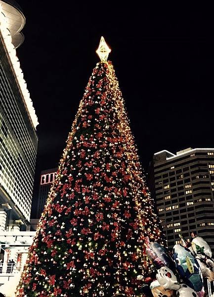 20170119 #4_289.jpg