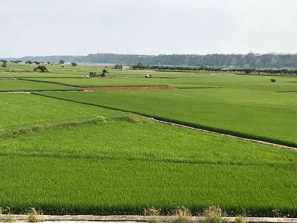 IMG_8874.JPG