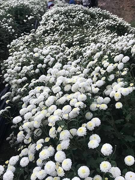 18E817A7-1A99-4E1A-ACCB-EE5206E35A07.jpeg