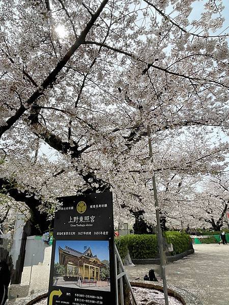 【2023東京自由行】上野恩賜公園、淺草寺＆隅田公園、目黑川