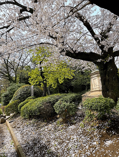 【2023東京自由行】上野恩賜公園、淺草寺＆隅田公園、目黑川