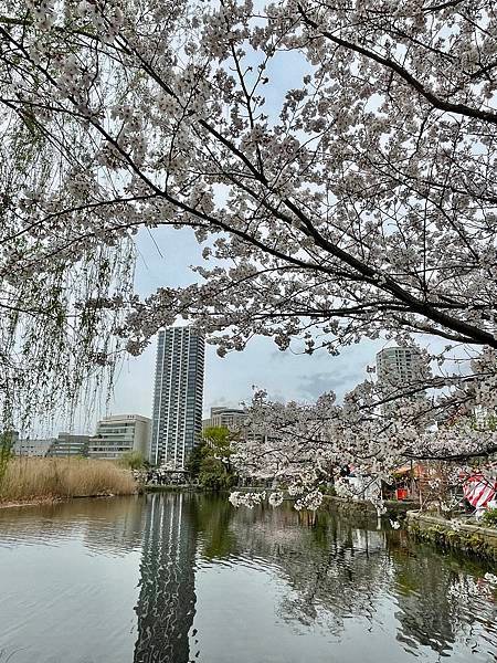 【2023東京自由行】上野恩賜公園、淺草寺＆隅田公園、目黑川