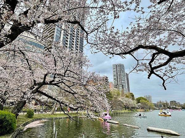 【2023東京自由行】上野恩賜公園、淺草寺＆隅田公園、目黑川