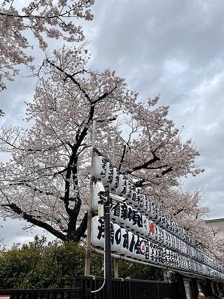 【2023東京自由行】上野恩賜公園、淺草寺＆隅田公園、目黑川