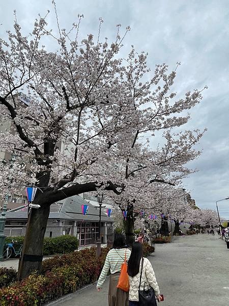 【2023東京自由行】上野恩賜公園、淺草寺＆隅田公園、目黑川