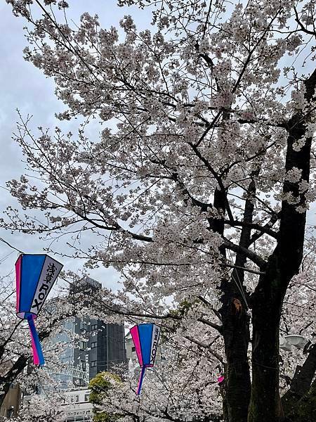 【2023東京自由行】上野恩賜公園、淺草寺＆隅田公園、目黑川