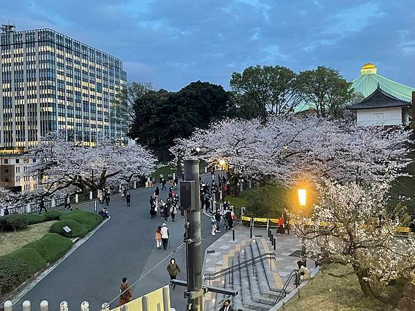 【2023東京自由行】上野恩賜公園、淺草寺＆隅田公園、目黑川