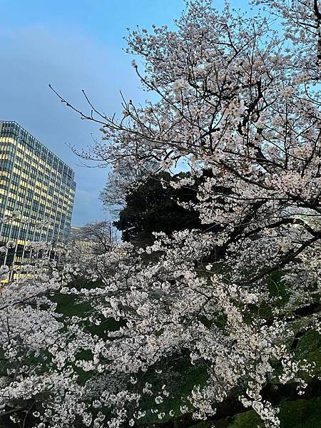 【2023東京自由行】上野恩賜公園、淺草寺＆隅田公園、目黑川