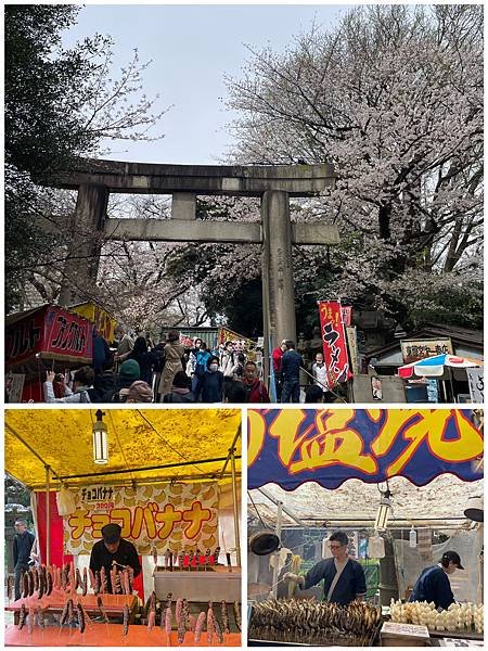 【2023東京自由行】上野恩賜公園、淺草寺＆隅田公園、目黑川