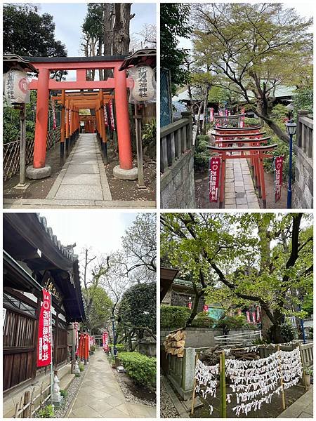 【2023東京自由行】上野恩賜公園、淺草寺＆隅田公園、目黑川