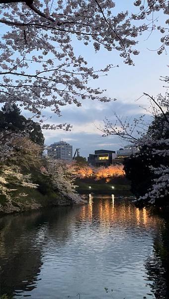 【2023東京自由行】上野恩賜公園、淺草寺＆隅田公園、目黑川