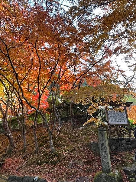 【2023關西自由行】day3南禪寺(三門、水路閣、最勝院、
