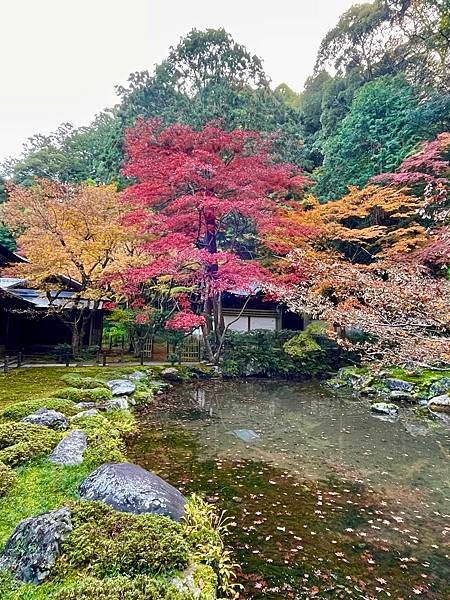 【2023關西自由行】day3南禪寺(三門、水路閣、最勝院、
