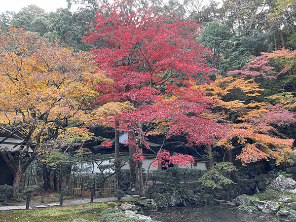 【2023關西自由行】day3南禪寺(三門、水路閣、最勝院、