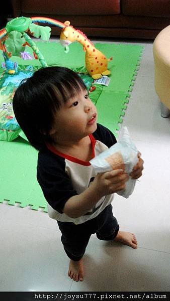 DSC08570 (2)