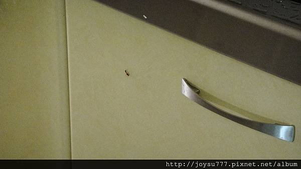 DSC06761.JPG