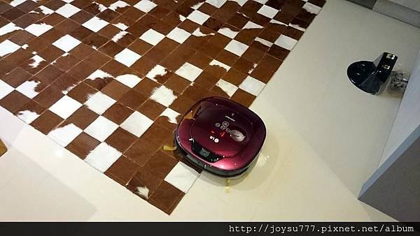 wasi_DSC_0486
