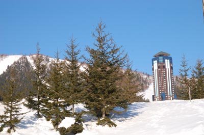 DSC_0100.JPG