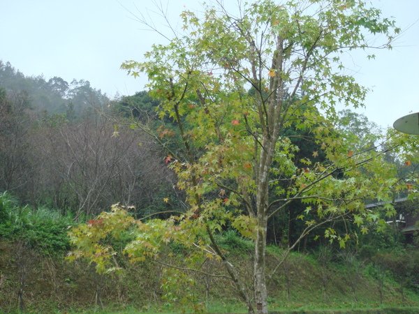 DSC01868.JPG