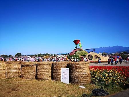 IMG_20191117_124152.jpg