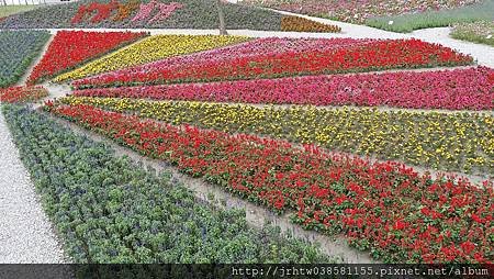 國福花海-2014花東花海季