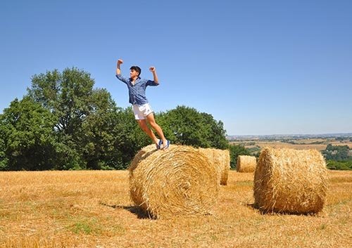 hay-field-bale-agriculture.jpg