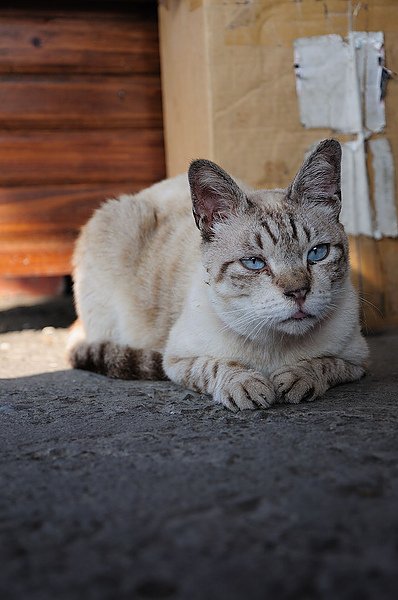 DSC_0338.jpg
