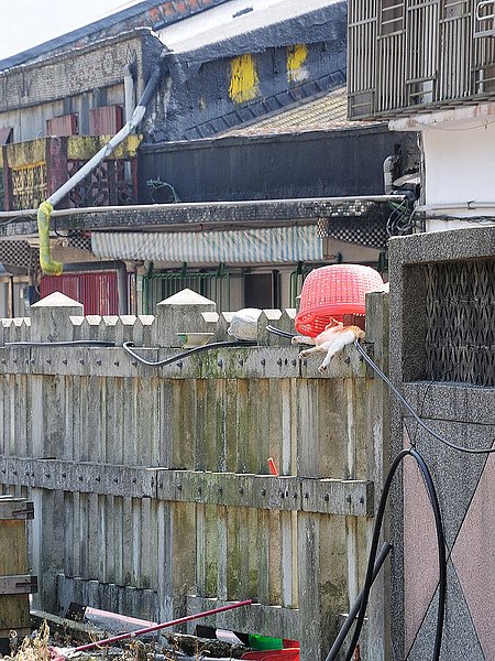 DSC_0426.jpg