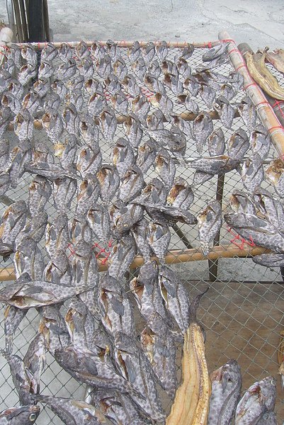 石斑魚干