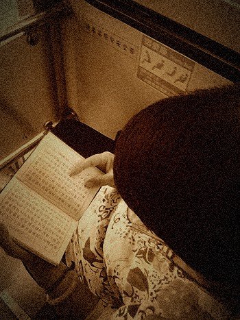 20100810129.jpg