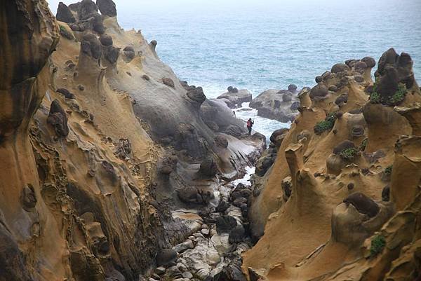 12407鵬和平島