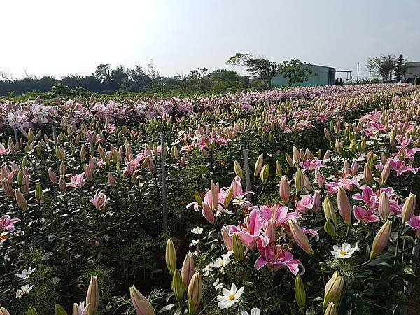 20170414_151938