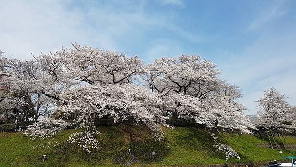 20180327_100428
