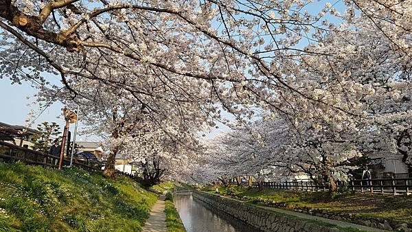 20180328_162544元荒川