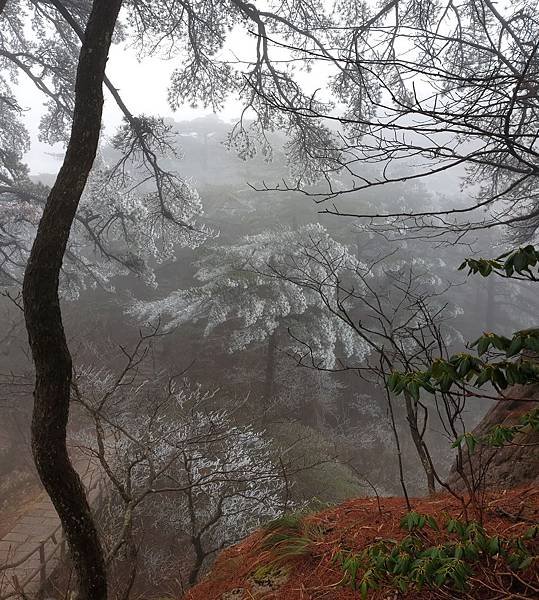 20190228_101120