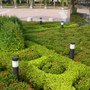RIMG0685.JPG