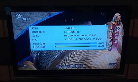 IMAG4787.jpg