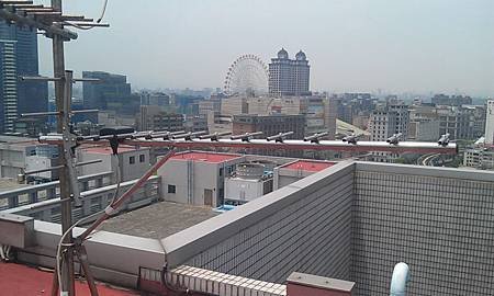 IMAG3113.jpg