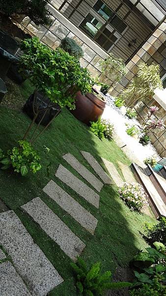 DSC00281.JPG