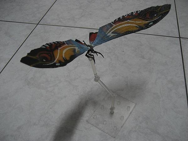 海雅HIYA 美國版摩斯拉(成蟲)