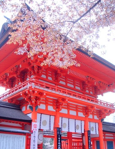 下鴨神社a.jpg