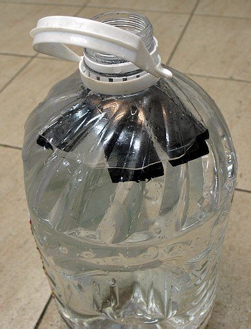 2-水質淨化.JPG
